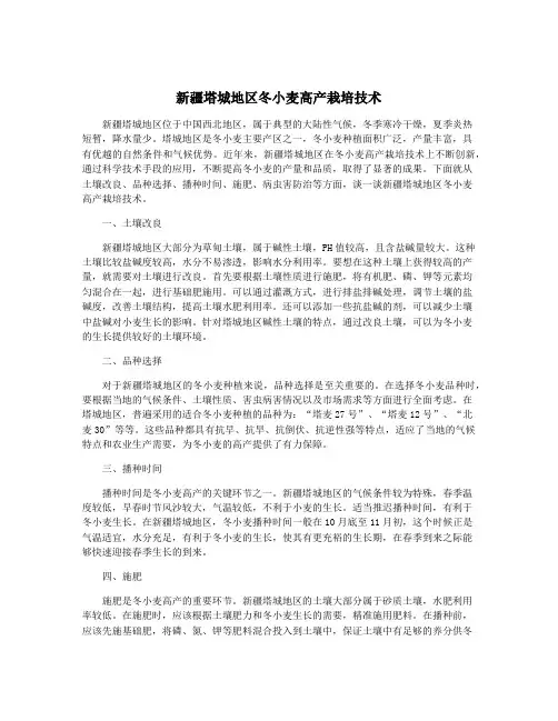 新疆塔城地区冬小麦高产栽培技术