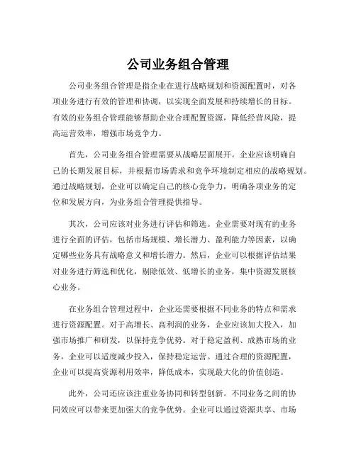 公司业务组合管理