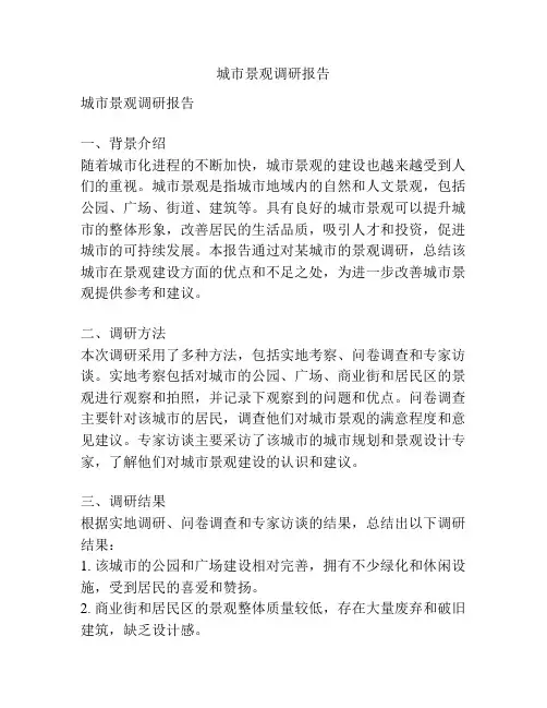 城市景观调研报告