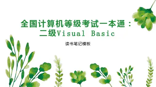 《全国计算机等级考试一本通：二级Visual Basic》读书笔记模板