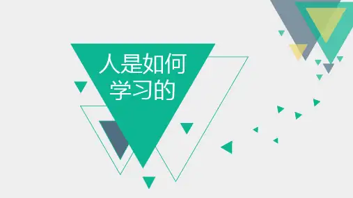 人是如何学习