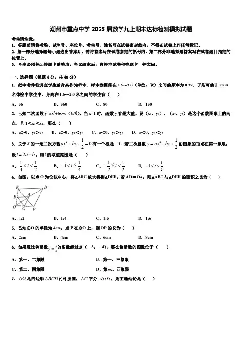 潮州市重点中学2025届数学九上期末达标检测模拟试题含解析