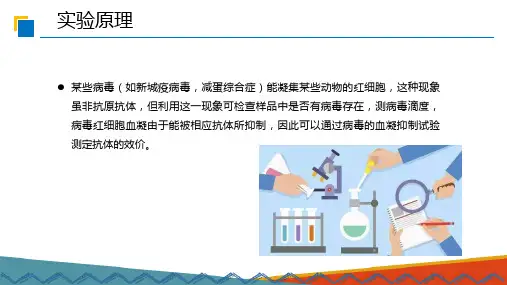 鸡新城疫实验—HA与HI实验