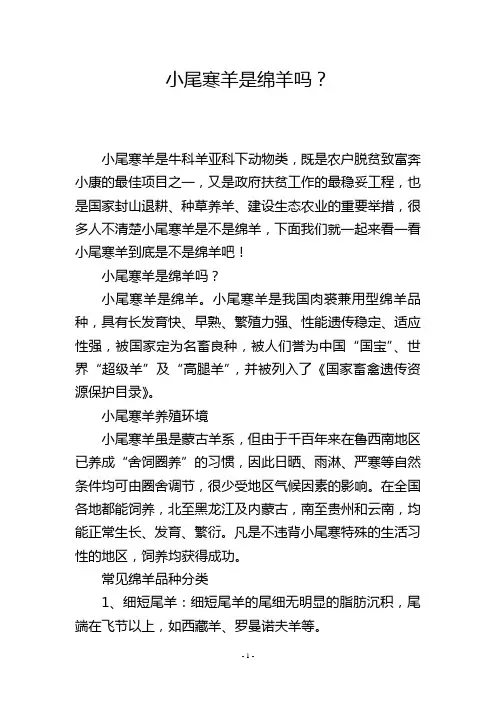小尾寒羊是绵羊吗？