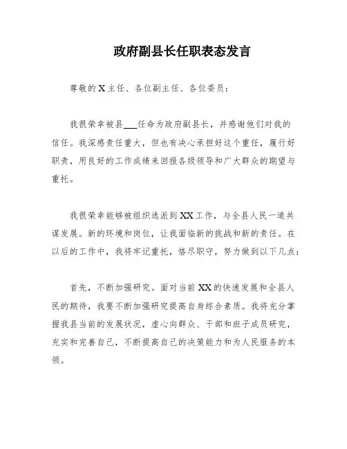政府副县长任职表态发言