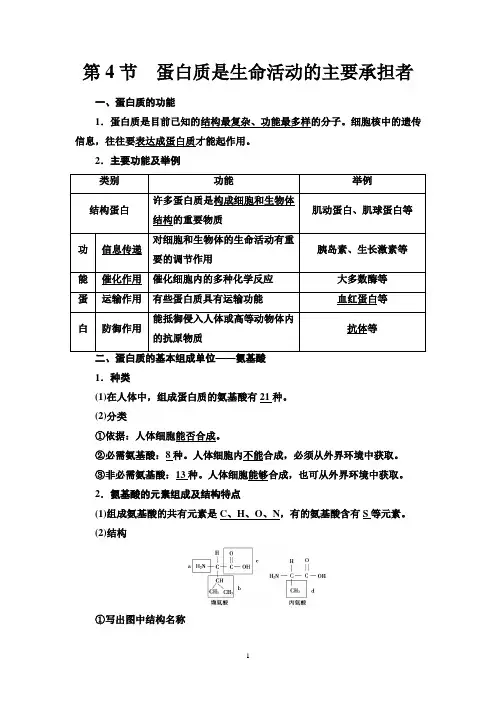 第2章 第4节 蛋白质是生命活动的主要承担者 知识点