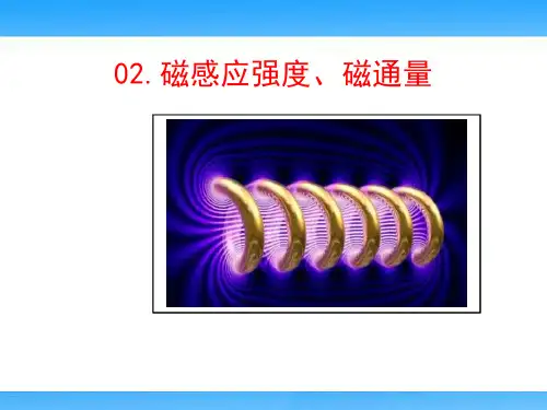 磁感应强度、磁通量(高中物理教学课件)