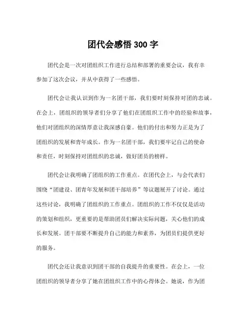 团代会感悟300字