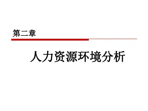人力资源环境分析