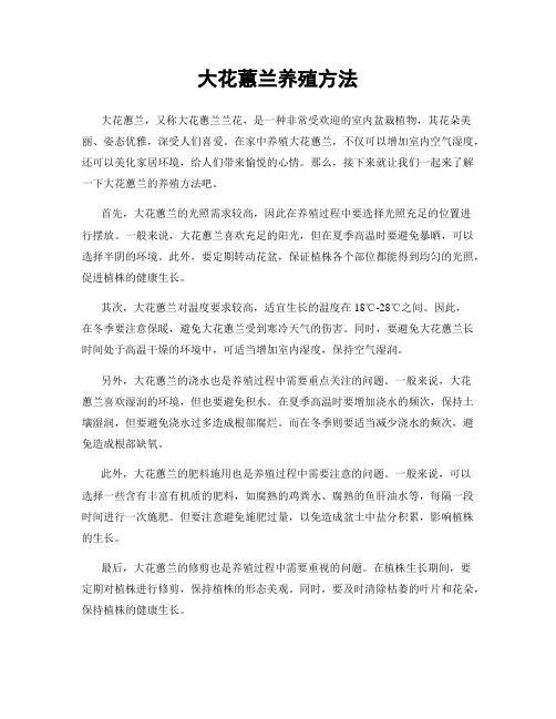 大花蕙兰养殖方法
