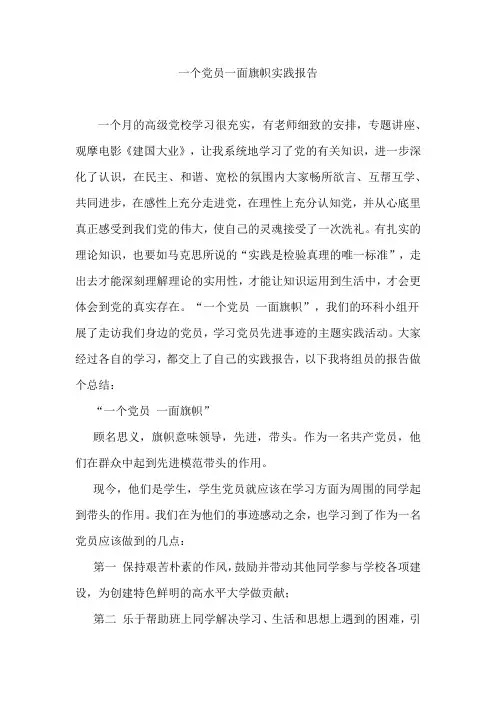 一个党员一面旗时间报告