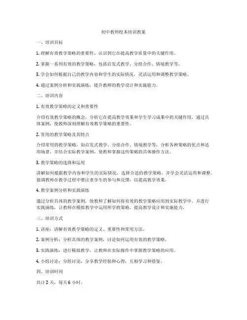 初中教师校本培训教案