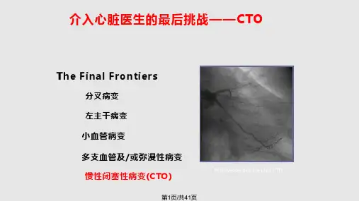 CTO病变治疗策略PPT课件