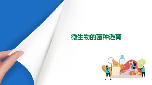 微生物的生长与控制—微生物的菌种选育(食品微生物学课件)