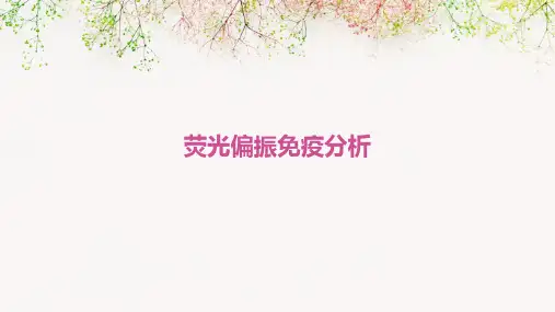 荧光偏振免疫分析