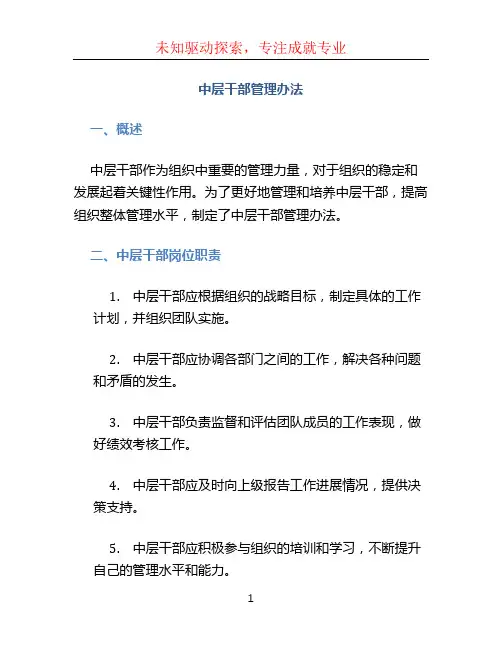 中层干部管理办法 (2)