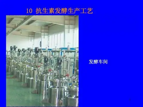 10.1抗生素发酵生产