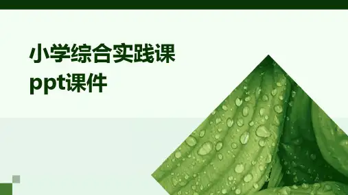 小学综合实践课ppt课件