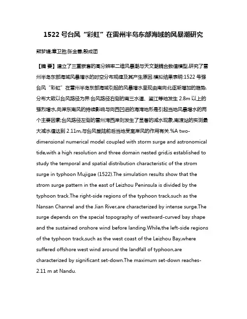 1522号台风“彩虹”在雷州半岛东部海域的风暴潮研究