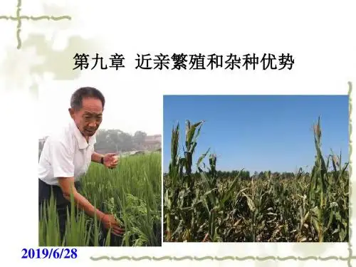 奥赛生物辅导 第九章  近亲繁殖和杂种优势 (共73张PPT)