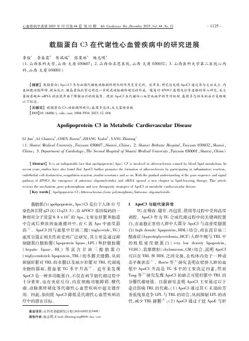 载脂蛋白Ｃ３在代谢性心血管疾病中的研究进展