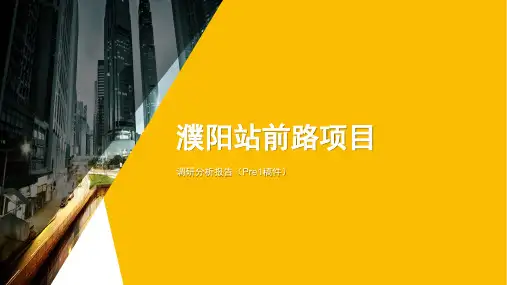 濮阳站前路房地产市场分析