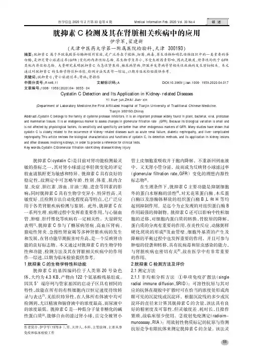 胱抑素c检测及其在肾脏相关疾病中的应用