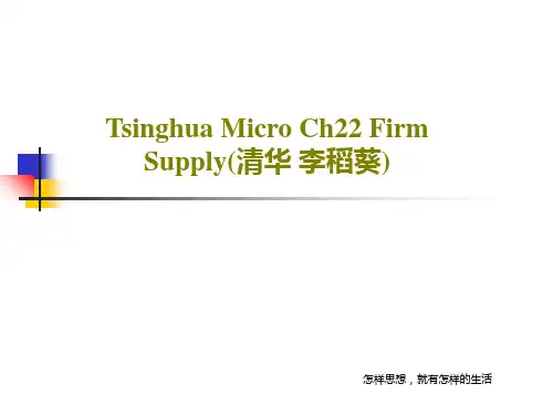Tsinghua Micro Ch22 Firm Supply(清华 李稻葵)共43页