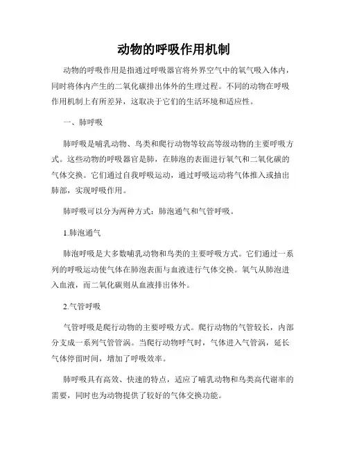 动物的呼吸作用机制