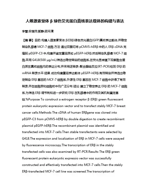 人雌激素受体β绿色荧光蛋白真核表达载体的构建与表达