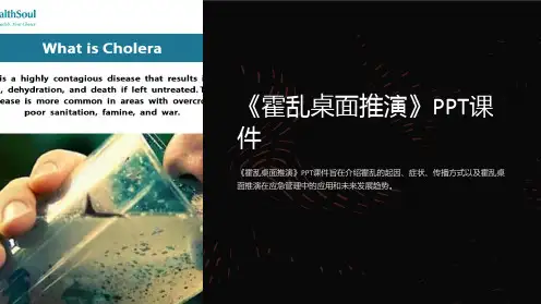 《霍乱桌面推演》课件