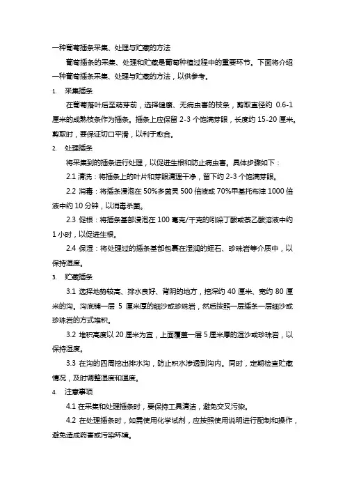 一种葡萄插条采集,处理与贮藏的方法