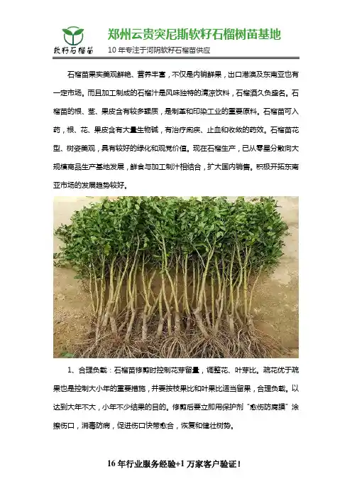 突尼斯软籽石榴苗和一般石榴苗的区别有哪些