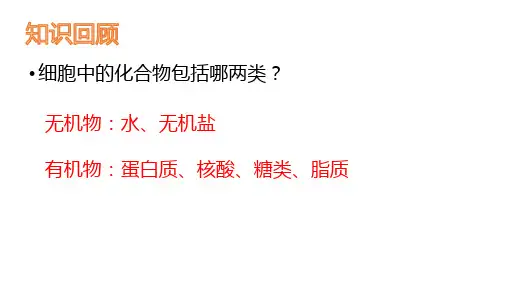 生物人教版(2019)必修1 细胞中的无机物
