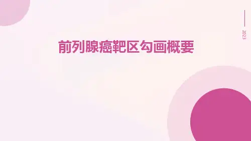 前列腺癌靶区勾画概要