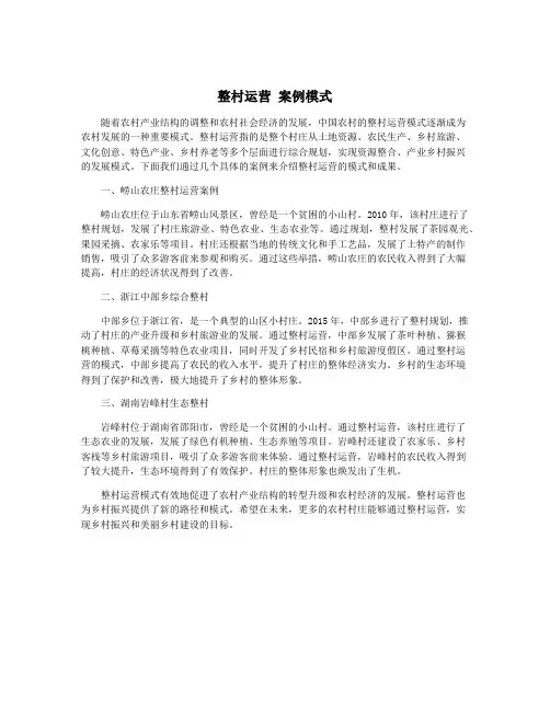 整村运营 案例模式