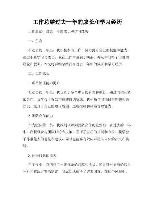 工作总结过去一年的成长和学习经历