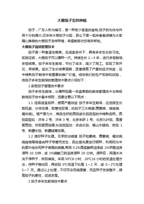 大棚茄子怎样种植