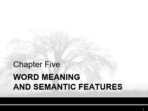 英语词汇学chapter5 Word meaning and  semantic features