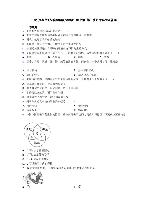 生物(完整版)人教部编版八年级生物上册 第三次月考试卷及答案