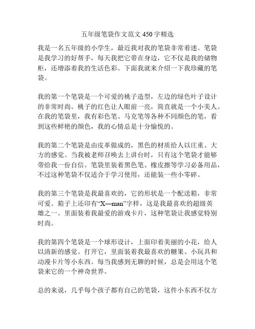 五年级笔袋作文范文450字精选