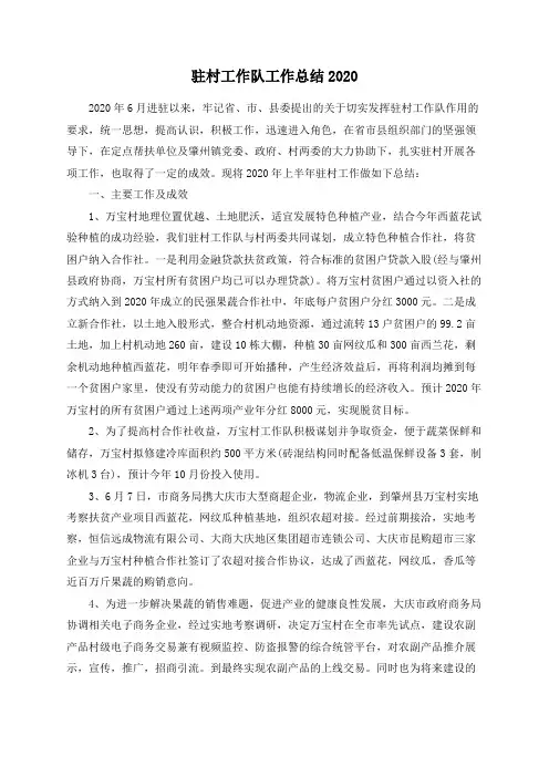 驻村工作队工作总结2020