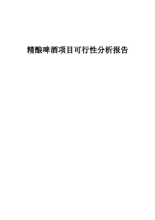 精酿啤酒项目可行性分析报告