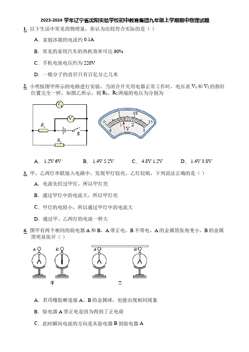 2023-2024学年辽宁省沈阳实验学校初中教育集团九年级上学期期中物理试题