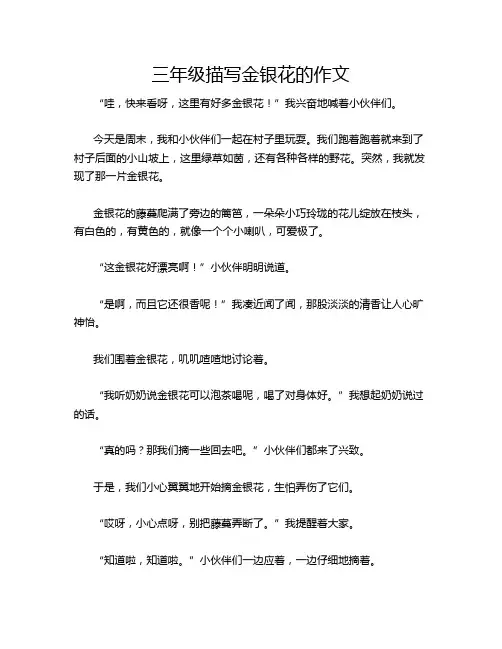 三年级描写金银花的作文