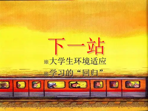 大学生环境适应 PPT课件