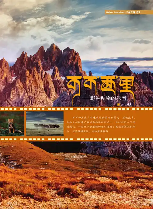 可可西里——野生动物的乐园