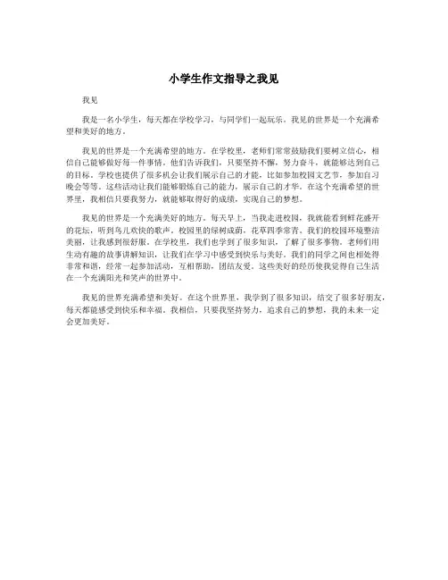 小学生作文指导之我见