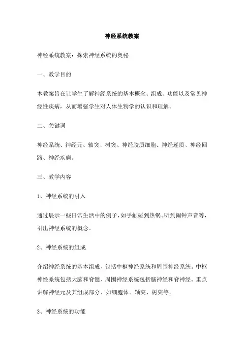 神经系统教案 