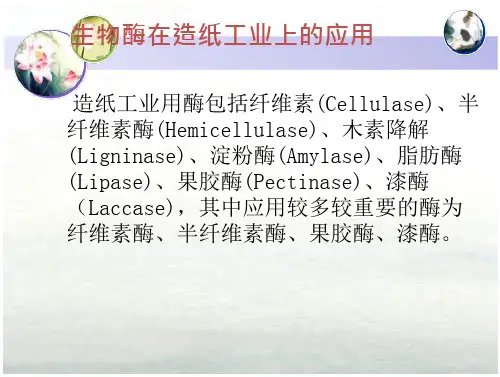 酶在轻工业的应用